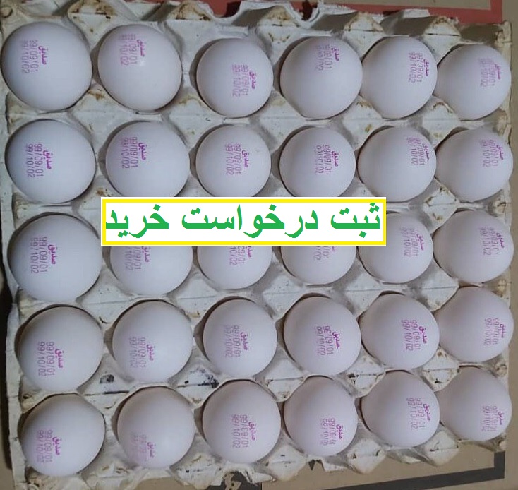 تخم مرغ سفارش و خرید 10 صذیق درخواست خرید 3