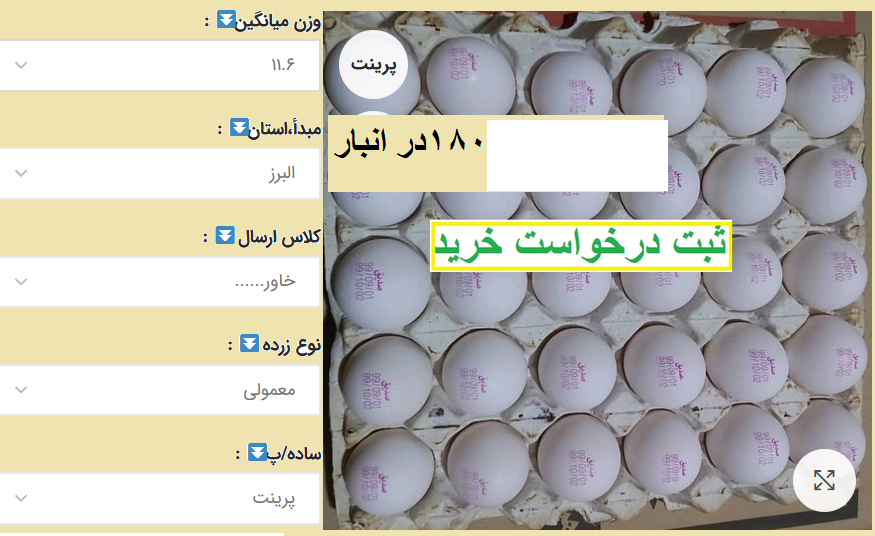 تخم مرغ سفارش و خرید 3 image 44