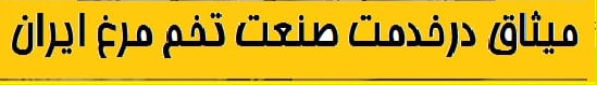خبرهای تخم مرغی 2 image 5