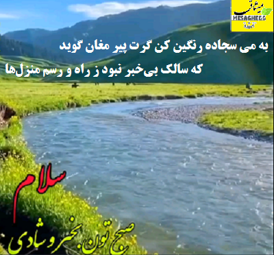 خرید و فروش تخم مرغ 1 image 9