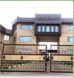باربریهای قابل اعتماد تهران و شهرستانها 3 image 40
