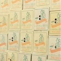 فاطم 2 فاطم 2