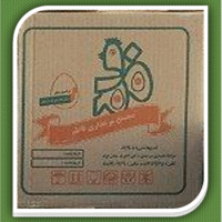 فاطم 1 فاطم 1