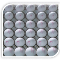 فاطم 3 فاطم 3